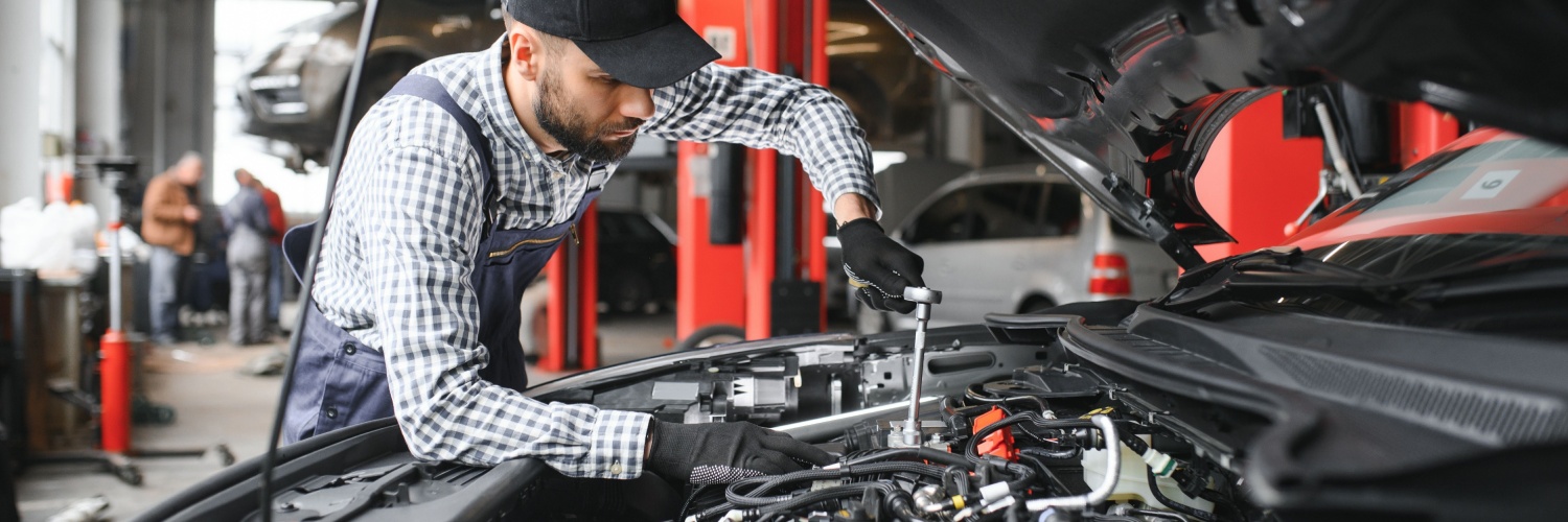 Vehicle Inspections